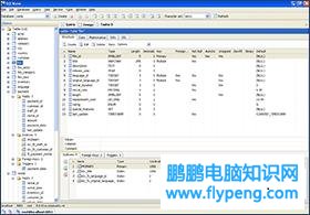 10-best-mysql-gui-tools4