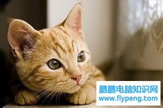 如何提高编写代码的速度？